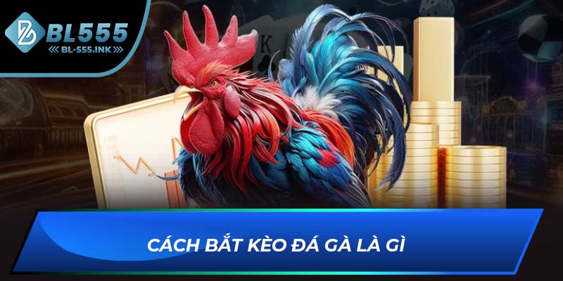 Cách bắt kèo đá gà là gì